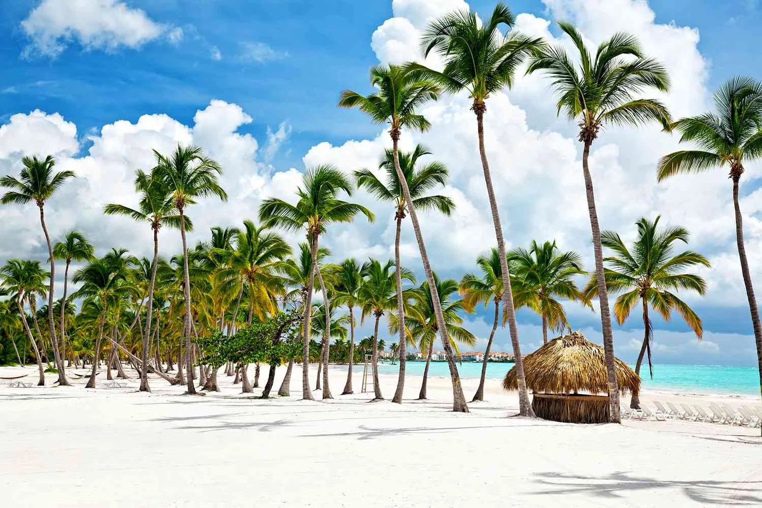 Caribbean & Bahamas